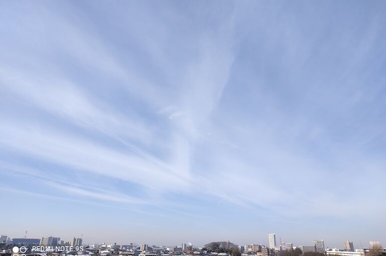 IMG_20220212_091651